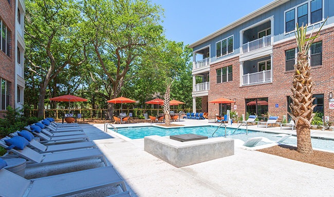 pool with trees and lounge chairs